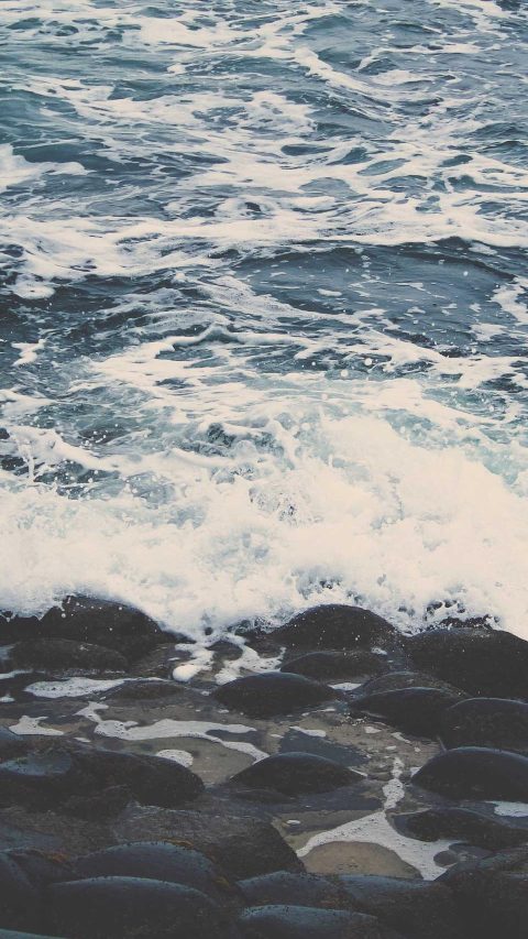 Open Water, Before Work